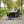 Load image into Gallery viewer, Amcargobikes dog cargo bike lifestyle image - sideways composition
