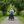 Load image into Gallery viewer, Amcargobikes Electric Cargo Bike lifestyle image

