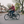 Load image into Gallery viewer, Amcargobikes low-step adult electric tricycle square lifestyle image - different angle
