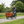Load image into Gallery viewer, Amcargobikes Ultimate Harmony square lifestyle image
