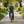 Load image into Gallery viewer, E-GO Bike Lite+ - Countryside Lane

