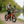 Load image into Gallery viewer, E-GO MAX Lifestyle – Canal Towpath Square
