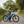 Load image into Gallery viewer, Hikobike Rangler Touring Electric Bike square lifestyle image - different angle
