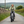 Load image into Gallery viewer, Hygge Vester Electric Folding Bike lifestyle image
