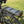 Load image into Gallery viewer, EMU E-Haul Cargo Electric Trike with Box &amp; Cushion – Black - Pedal &amp; Chain
