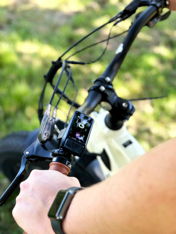 EMU Longtail Cargo Electric Bike With Kids Seat Cream