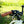 Load image into Gallery viewer, EMU Longtail Cargo Electric Bike Without Kids Seat Cream
