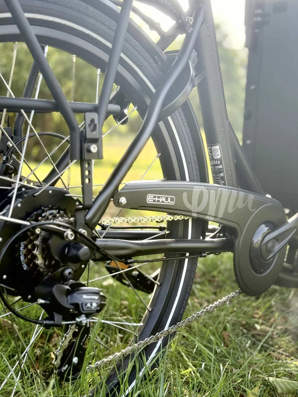 EMU E-Haul Cargo Electric Trike with Box & Cushion – Black - Pedal & Chain