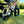 Load image into Gallery viewer, EMU Longtail Cargo Electric Bike Without Kids Seat Cream
