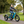 Load image into Gallery viewer, Revom T2 Fat Tyre Electric Mountain Trike square lifestyle image
