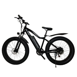 Cost of fat store bike