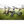 Load image into Gallery viewer, E-go Max+ (PLUS) Electric Folding Bike Bundle 250W E-Go
