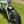Load image into Gallery viewer, E-go Max+ (PLUS) Electric Folding Bike Bundle 250W E-Go
