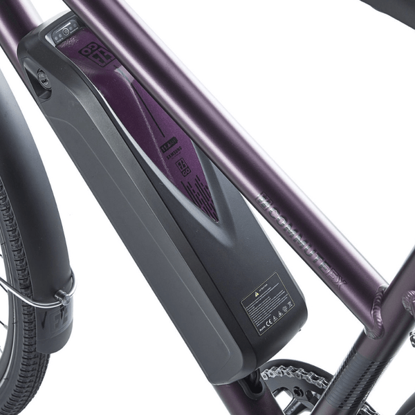 Ezego 2024 commute ex