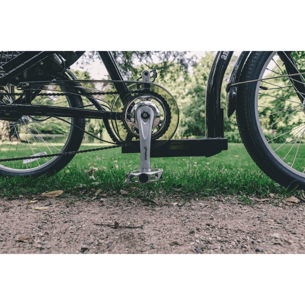 AmcargoBikes Low Step Adult Electric Tricycle 250W Black Amcargobikes
