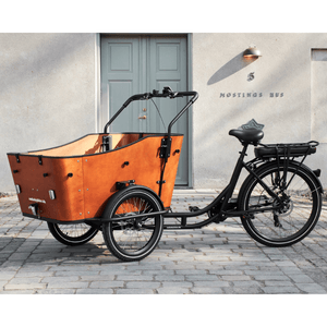 Amcargobikes Ultimate Harmony Tadpole Cargo Electric Tricycle Amcargobikes