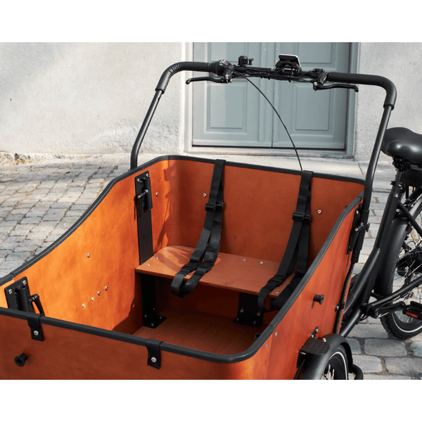 Amcargobikes Ultimate Harmony Tadpole Cargo Electric Tricycle Amcargobikes