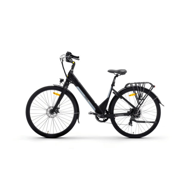 36v 250w electric store bike