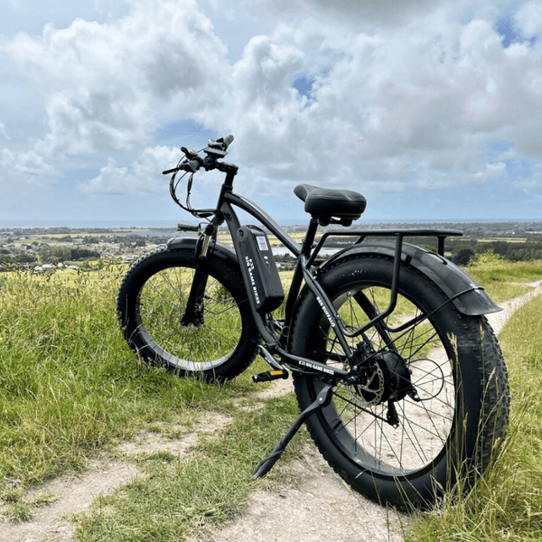bgb electric bicycle Big Game Bikes Buffalo Electric Mountain Bike 250W | Free Delivery