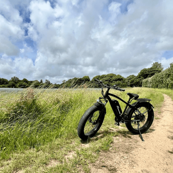 bgb electric bicycle Big Game Bikes Buffalo Electric Mountain Bike 250W | Free Delivery