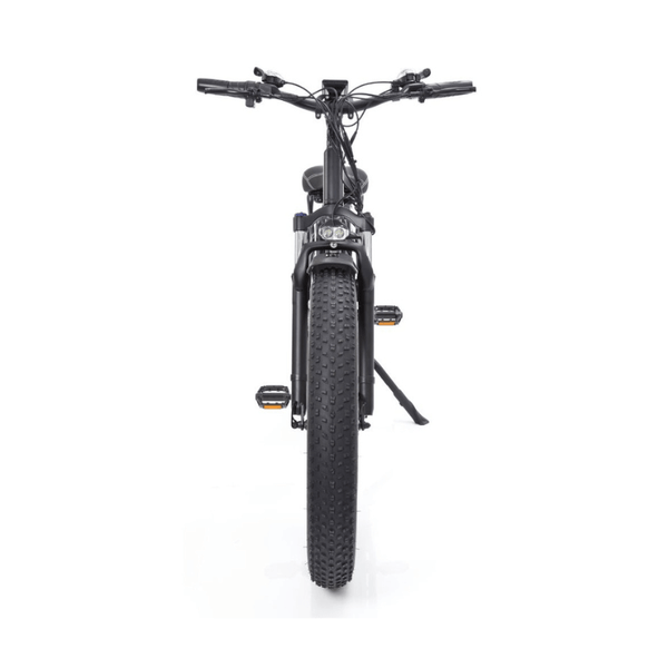 Viva deals fat bike