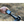 Load image into Gallery viewer, Basis Protocol Electric Bike Hybrid Ebike 250W Integrated Battery Basis
