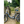 Load image into Gallery viewer, Basis Osprey Low Step Electric Folding Bike 250W 20" Basis
