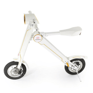 Cruzaa E-Scooter PRO Racing – with Built-in Speakers & Bluetooth 350W Cruzaa