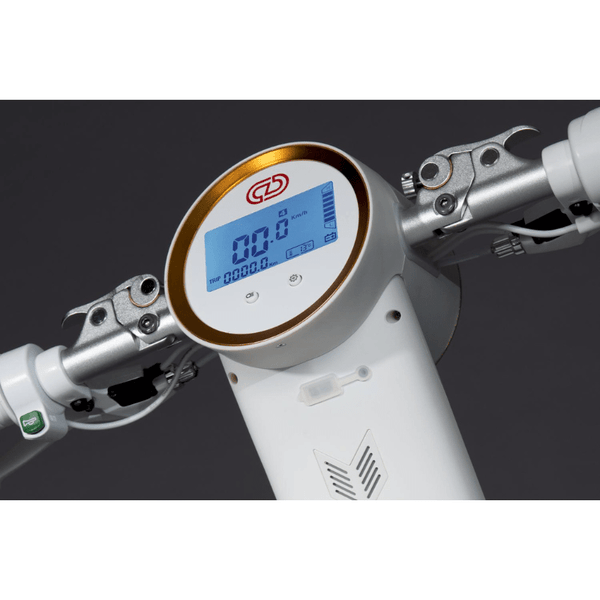 Cruzaa E-Scooter PRO Racing – with Built-in Speakers & Bluetooth 350W Cruzaa