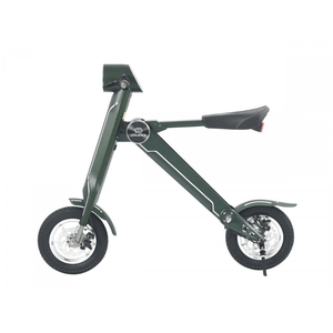 Cruzaa Limited Edition E-Scooter Pro Magno Green – with Built-in Speakers & Bluetooth 350W Cruzaa