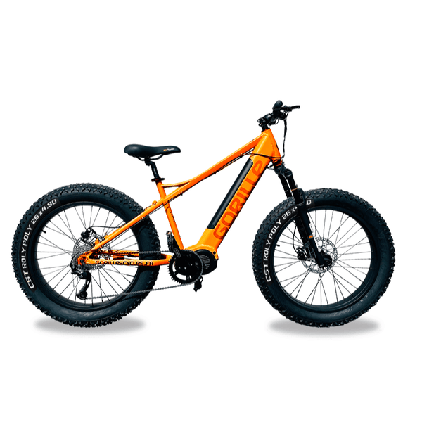 Gorilla outlet fat bike