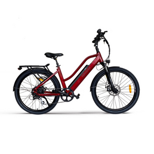 Hikobike NZPulse 36V Electric Bike 468Wh Hikobike