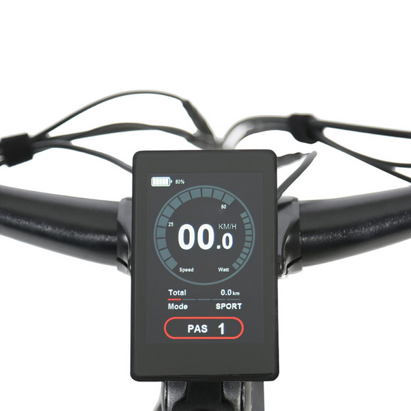 Hikobike Rangler Touring Electric Bike 670Wh Hikobike