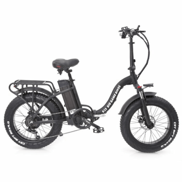 E bike online big bike
