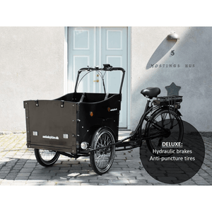 Adult 2024 cargo bike