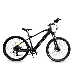 Affordable Electric Bikes Under 1000 Quality on a Budget Pedal Chain